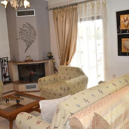 Stefanos Apartment Tríkala Zewnętrze zdjęcie