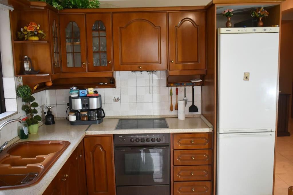 Stefanos Apartment Tríkala Zewnętrze zdjęcie