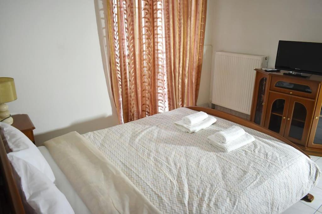 Stefanos Apartment Tríkala Zewnętrze zdjęcie